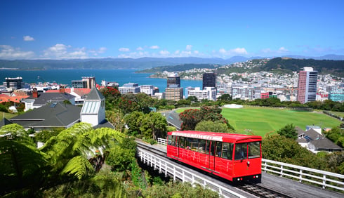 Wellington-iNNOV